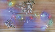 11281 Osvětlen&iacute; nano stř&iacute;brn&eacute; 1,9m - 20 LED multicolor + časovač-6