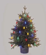 11333 Osvětlen&iacute; řetěz &scaron;i&scaron;ky 9,8 m, 50 LED, multicolor-5