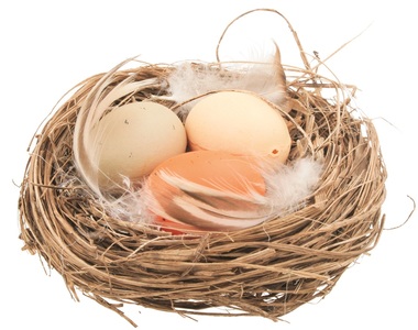 Nest w/Eggs 7 x 7 x 3,5 cm