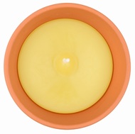 20041 Citronela, zahradn&iacute; sv&iacute;čka v keramick&eacute; misce, 80 g-4