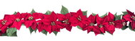 33029 Girlanda v&aacute;nočn&iacute; hvězdy 180 x 10 x10 cm-1