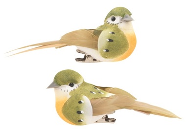 Bird on Clip 8 x 3 x 3 cm, 2 pcs,  Green