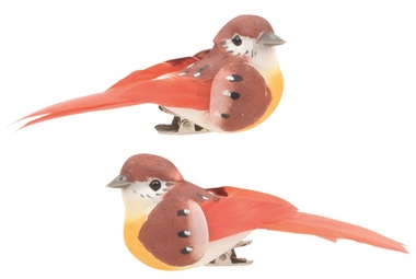 Bird on Clip 8 x 3 x 3 cm, 2 pcs, Brown/Orange