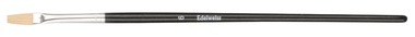 Flat Brush for School Purposes size 6