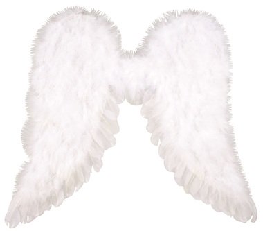Angel Wings 50 x 48 x 1 cm