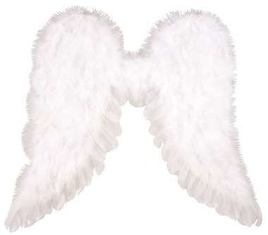 Angel Wings 38 x 38 cm x 1 cm